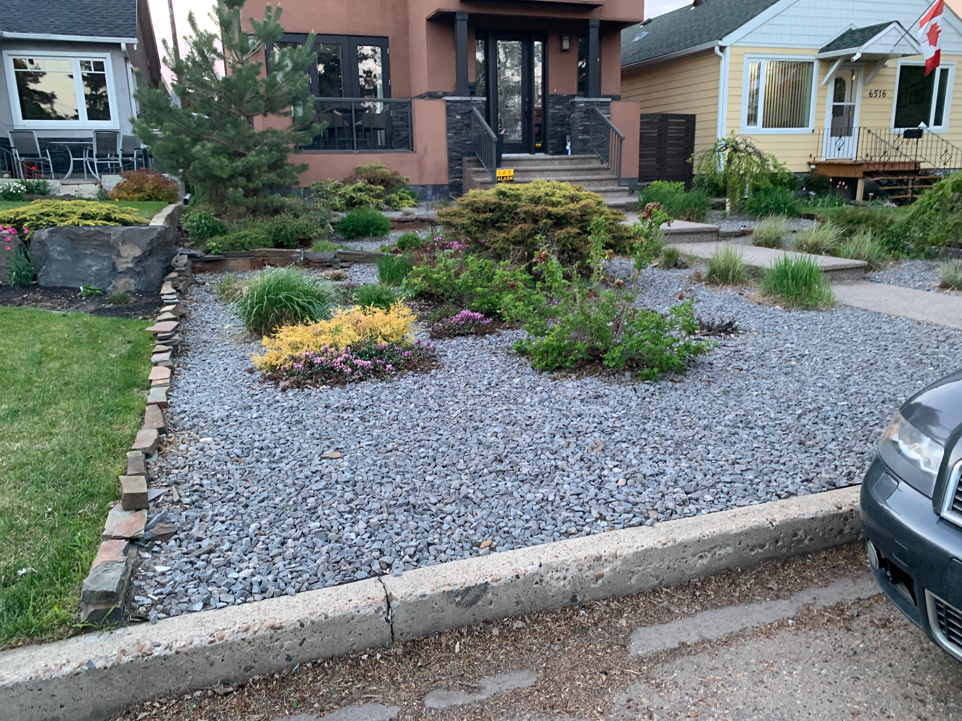 Front yard xeriscape with grey gravel, ornamental shrubs, and stone edging
